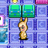 Bunny Bunny