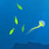 Echogenesis