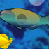 Ocean Explorer