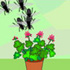 Planting Frenzy!