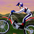 Stunt Mania